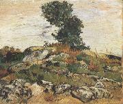Vincent Van Gogh, Rocks with Oak Trees (nn04)